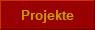 Projekte